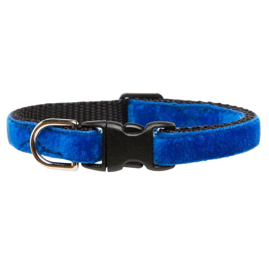 The Night Owl - Cat Collar