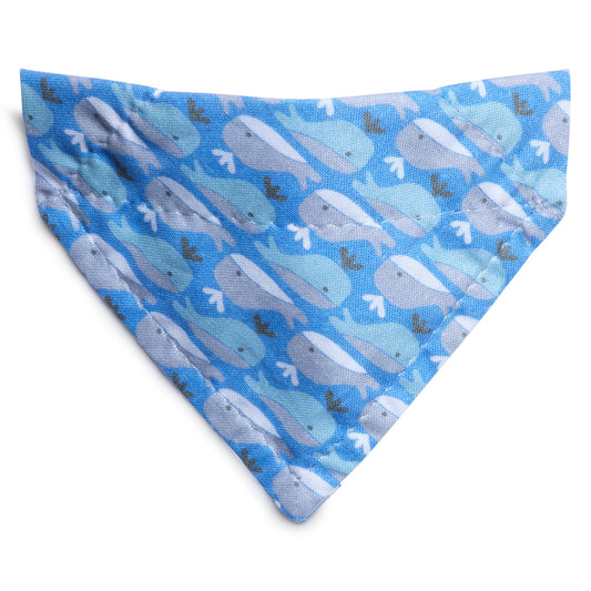 The Fin-tastic - Cat / Small Dog Bandana