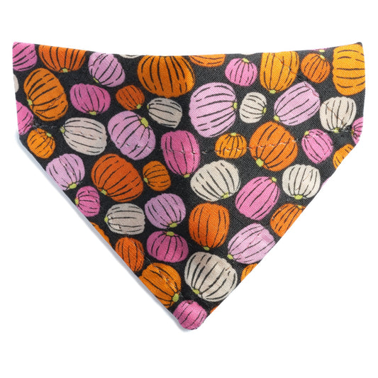 The Patch You Later - Cat / Small Dog Bandana