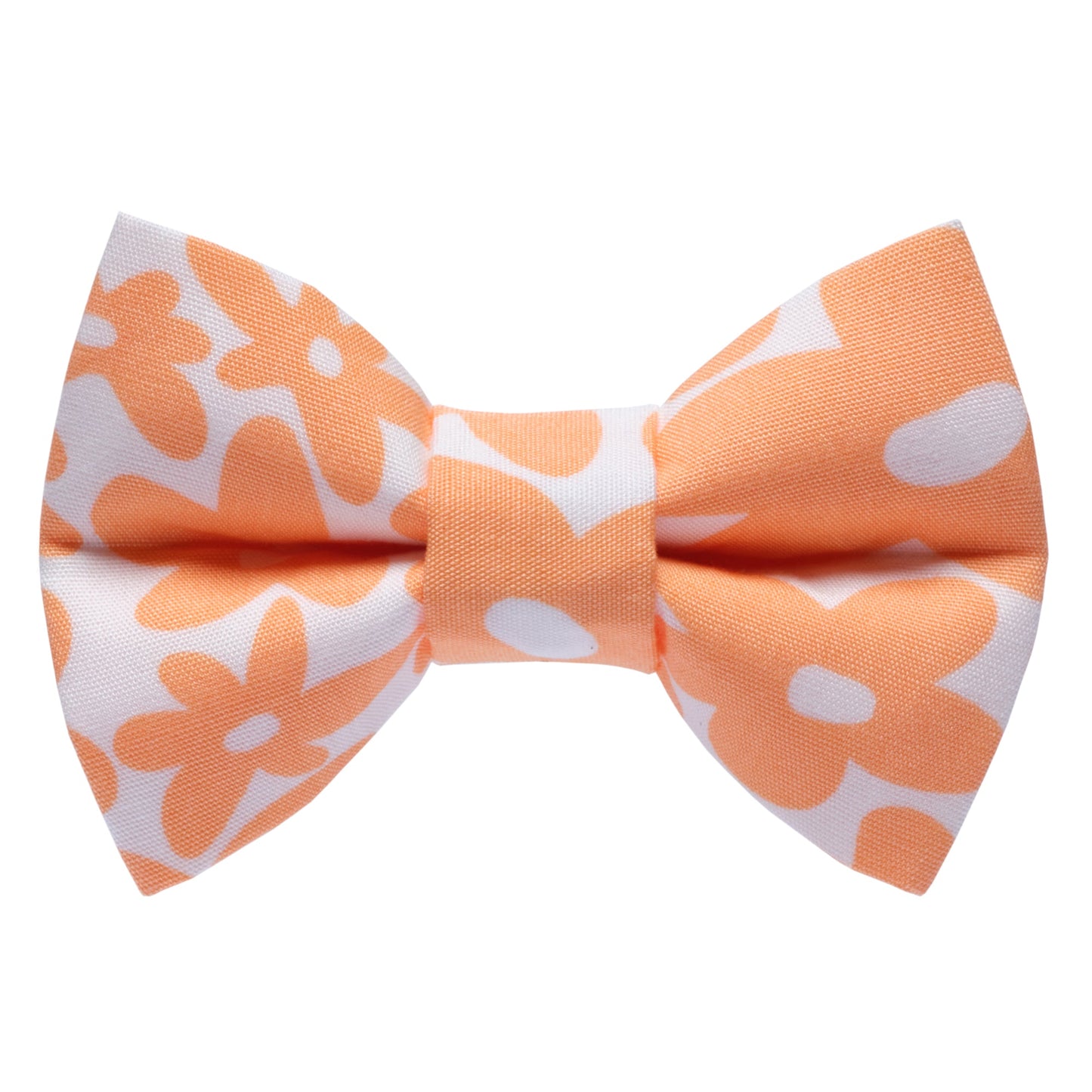The Wild Child - Cat / Dog Bow Tie