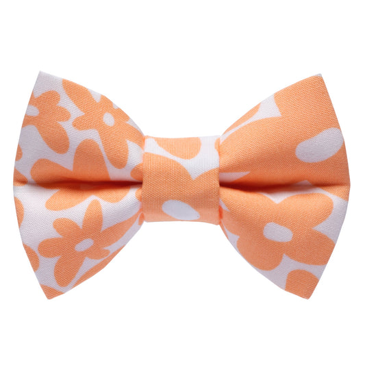 The Wild Child - Cat / Dog Bow Tie