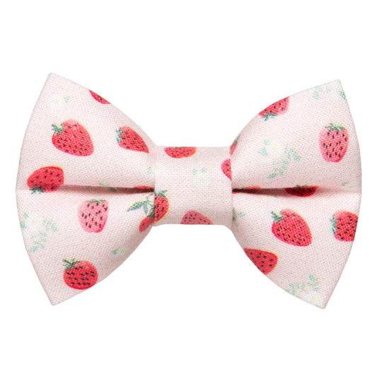 The Shortcake - Bow Tie