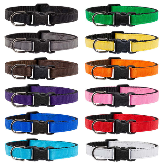 The Everyday Collar - Cat / Sm Dog Collar