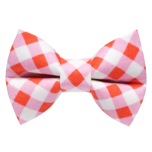 The New Neighbor - Cat / Dog Bow Tie