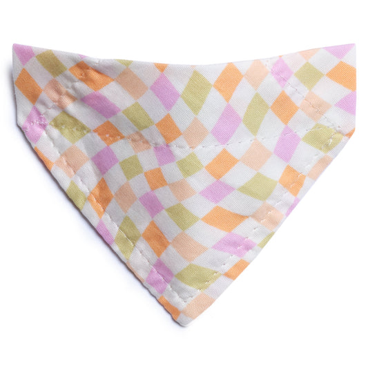 The Game Plan - Cat / Small Dog Bandana