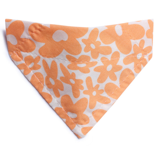The Wild Child - Cat / Small Dog Bandana
