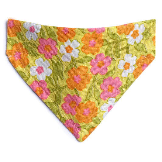 The Glamper - Cat / Small Dog Bandana